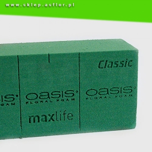 Gąbka florystyczna OASIS® Classic z formułą Maxlife