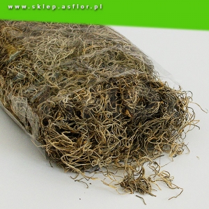 Spanish moss dried